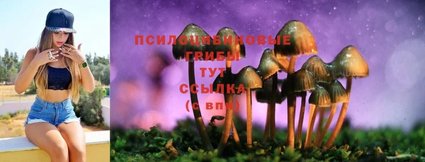 прущая мука Белоозёрский